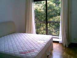 Tanglin Park (D10), Condominium #63290892
